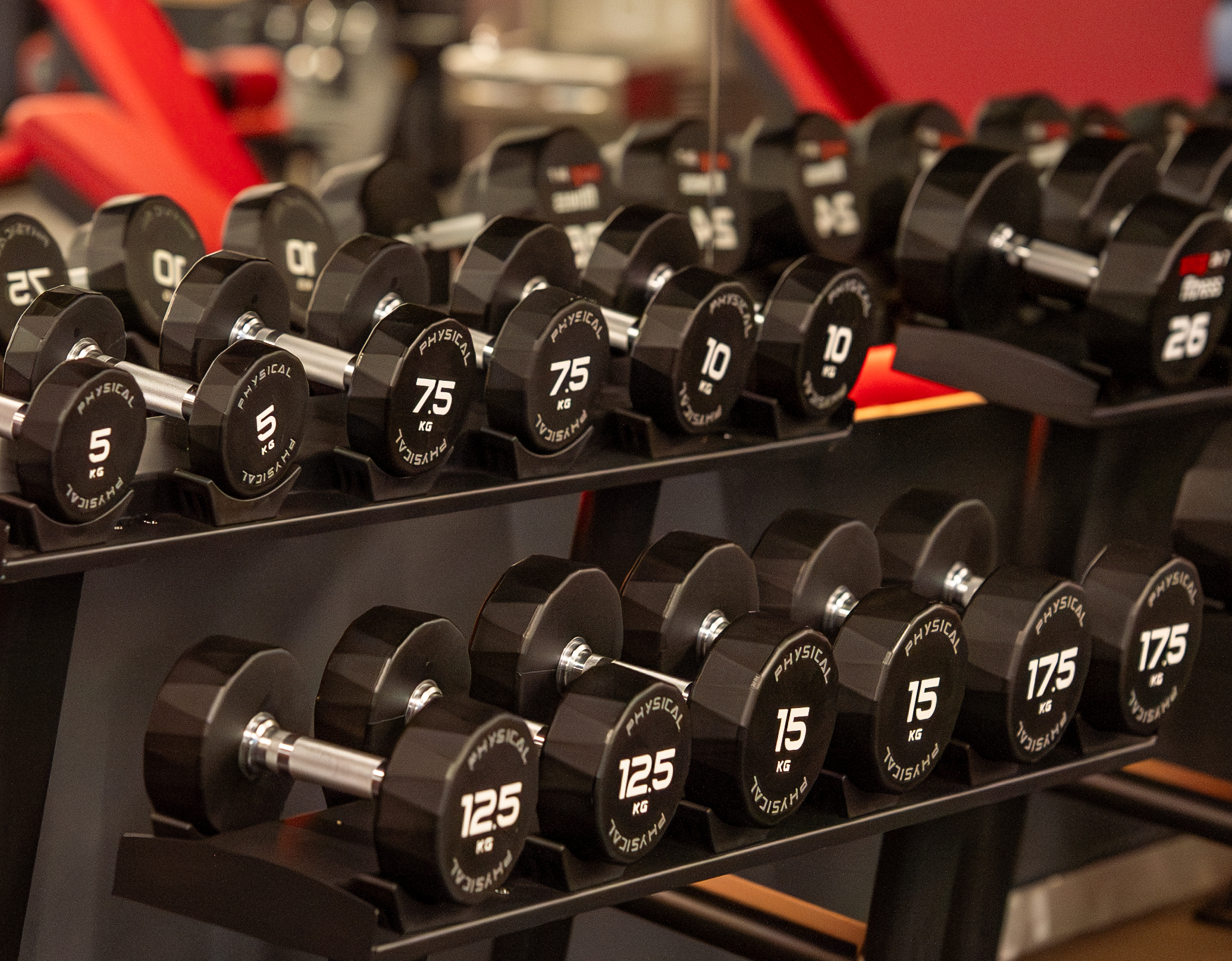 Snap Fitness Redditch - Dumbbell Detail